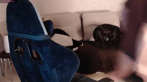 Nikolos online show from 01-29-25, 09:28