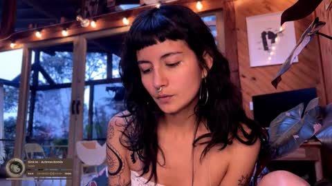 Nina.  online show from 02-22-26, 09:24