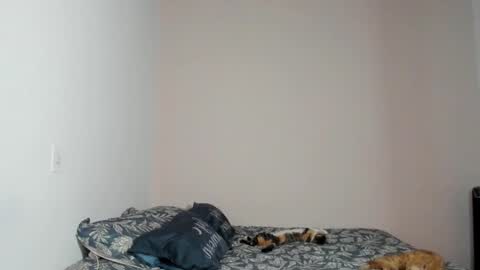  Nina  online show from 11-22-25, 08:41