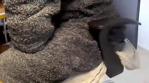 nineinchhard online show from 12-04-24, 09:07