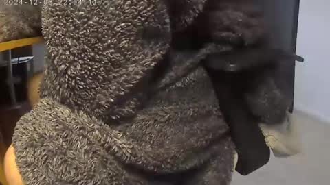 nineinchhard online show from 12-05-24, 09:28