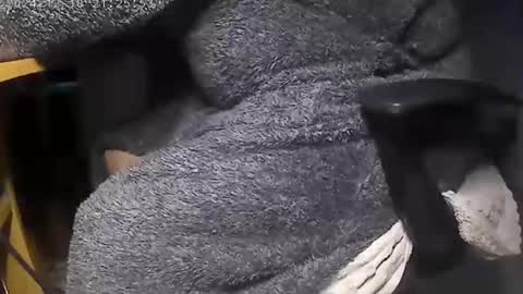 nineinchhard online show from 12-09-24, 08:00