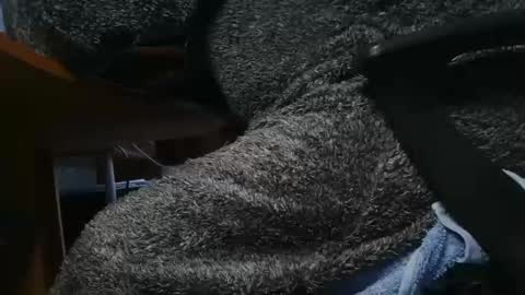 nineinchhard online show from 01-23-25, 10:22