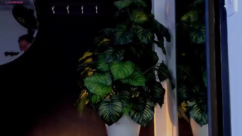 Noah  online show from 03-25-26, 03:23