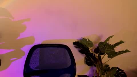 noah_dupont_ online show from 11-10-25, 11:42