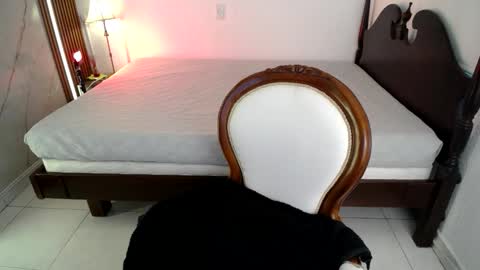 Noah  online show from 03-24-26, 07:41