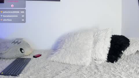 Snapshot of noah_lambert chatting on 01-20-25, 03:26 Noah online show from 01-20-25, 03:26