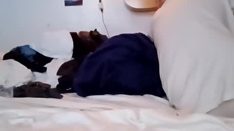 Snapshot of noah_wesley chatting on 01-18-25, 02:12 Noah Wesley online show from 01-18-25, 02:12