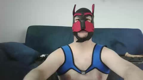 noapratzfr online show from 03-11-25, 12:39