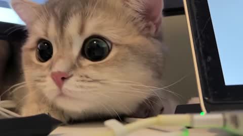 Sun or Luna online show from 02-20-25, 08:25