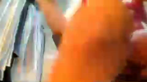 nolimitger online show from 06-25-26, 10:03