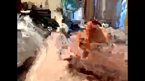 nolplus online show from 03-05-25, 05:40