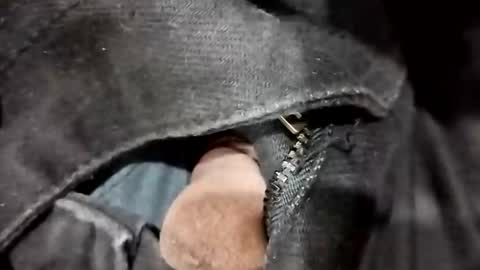 sim  nib online show from 11-20-25, 06:07