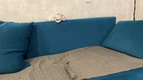 Snapshot of norakiso chatting on 12-29-24, 12:55 Eva online show from 12-29-24, 12:55