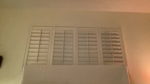 Snapshot of noscandal chatting on 11-14-25, 05:06 noscandal online show from 11-14-25, 05:06