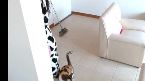 Snapshot of novaperotti chatting on 09-14-25, 02:05 novaperotti online show from 09-14-25, 02:05