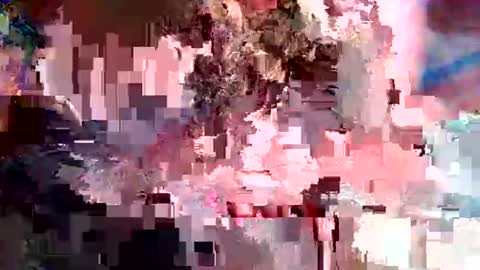 nxrmvljxn online show from 12-01-25, 02:49