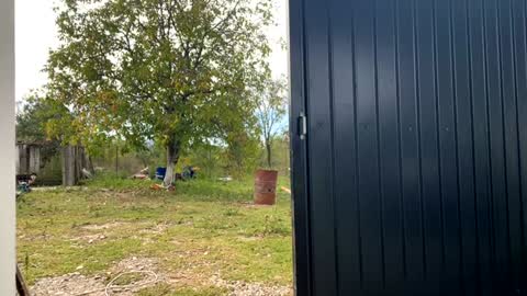 Nicol online show from 09-19-25, 07:21