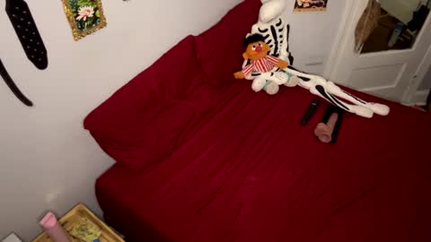 Nymphaea online show from 03-24-26, 11:21