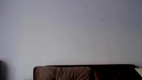 Snapshot of o_r_b_i_t chatting on 12-19-24, 01:29 o_r_b_i_t online show from 12-19-24, 01:29