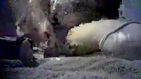 Just Some Guy Playing online show from 09-20-25, 12:50