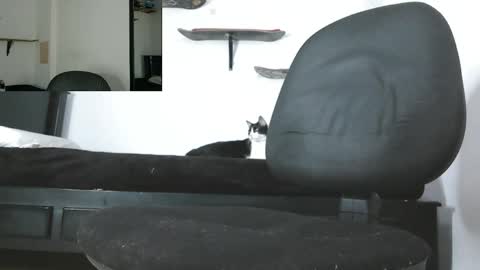 Snapshot of oezack__ chatting on 05-13-26, 03:48 Zack online show from 05-13-26, 03:48