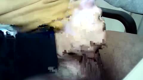 officersex y online show from 11-23-25, 01:33