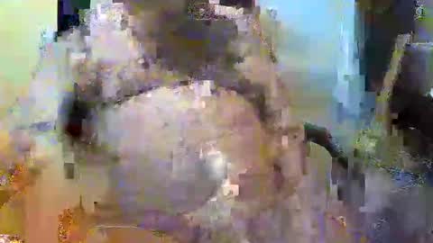 Snapshot of oily27 chatting on 11-02-25, 05:26 William online show from 11-02-25, 05:26