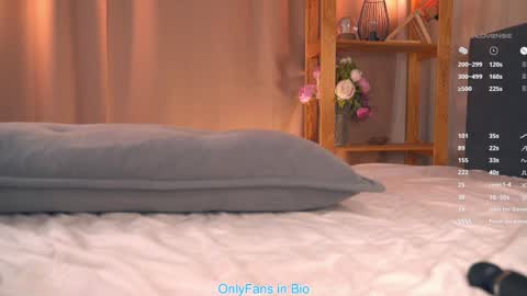 Snapshot of oke_doke chatting on 11-29-25, 07:17 Henrietta or Rita online show from 11-29-25, 07:17