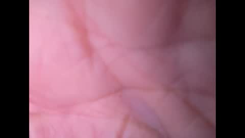 Snapshot of oldaddy2 chatting on 09-21-25, 07:10 oldaddy2 online show from 09-21-25, 07:10