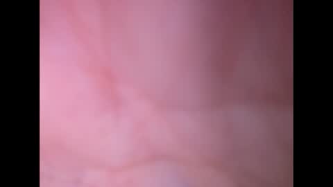 Snapshot of oldaddy2 chatting on 02-23-26, 12:46 oldaddy2 online show from 02-23-26, 12:46