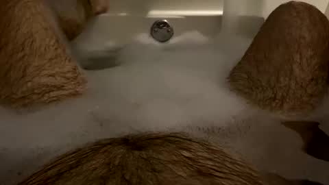 Snapshot of oldbones2 chatting on 01-28-25, 01:50 oldbones2 online show from 01-28-25, 01:50