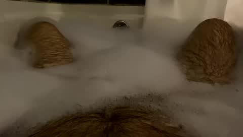 Snapshot of oldbones2 chatting on 02-17-25, 01:36 oldbones2 online show from 02-17-25, 01:36