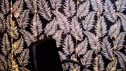 Kelly online show from 01-06-25, 12:13