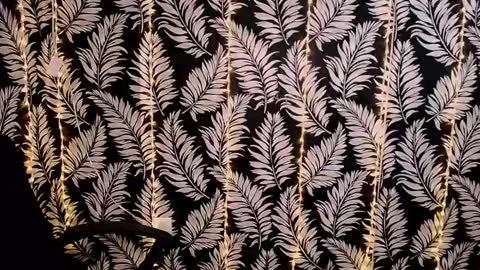 Kelly online show from 03-02-25, 03:16