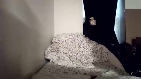 Snapshot of opalockajoe chatting on 01-06-25, 01:19 TsJojo online show from 01-06-25, 01:19