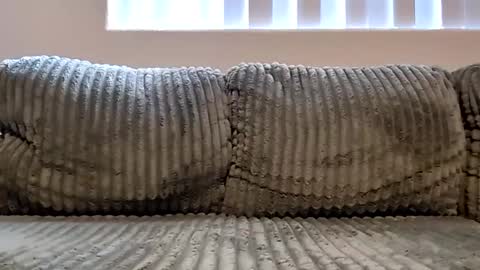 or2jrz online show from 11-18-25, 05:17