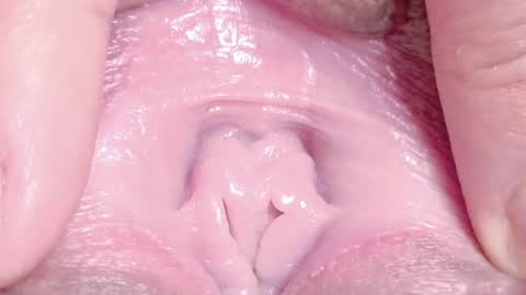 orchidekitty online show from 04-01-26, 09:12