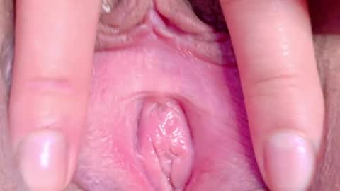 orchidekitty online show from 05-16-26, 11:14