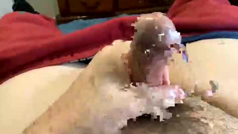 Snapshot of oreoworld chatting on 12-30-24, 07:21 Super Soaker Oreo World online show from 12-30-24, 07:21