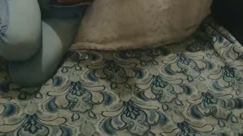 originalcali95 online show from 02-03-26, 04:32