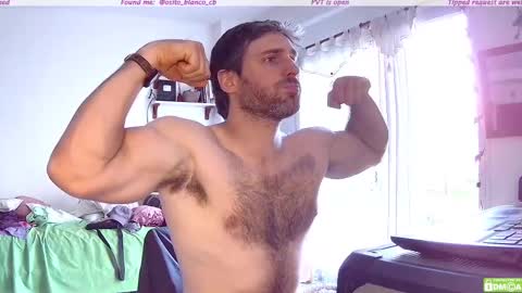 Osito Blanco online show from 11-13-25, 08:19