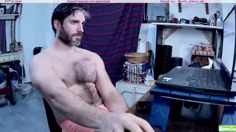 Snapshot of osito_blanco chatting on 05-08-26, 11:43 Osito Blanco online show from 05-08-26, 11:43