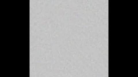 Oso Licencioso online show from 11-25-25, 03:06