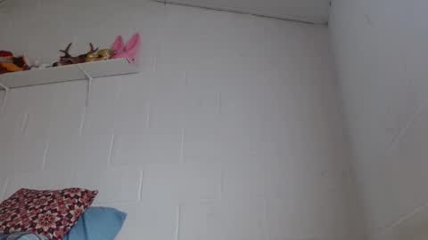 Jeannifer online show from 02-24-26, 12:47