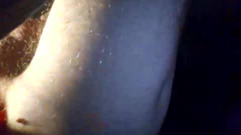 p313883 online show from 03-01-26, 04:42