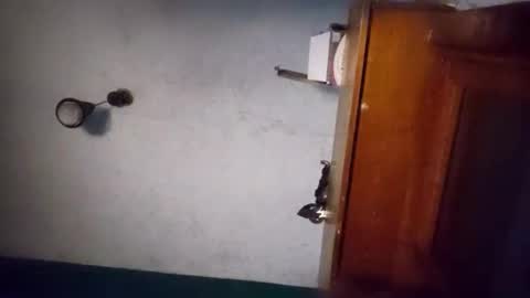 pablo6234516161 online show from 11-02-25, 05:21