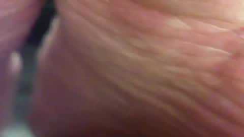 Pablo Meness online show from 02-02-25, 12:40