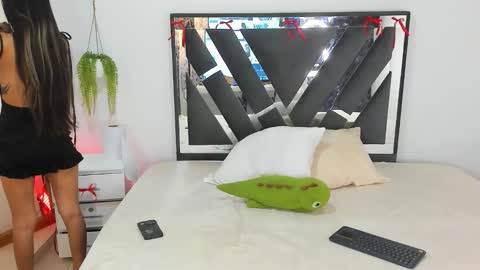 palechor online show from 02-15-26, 04:03