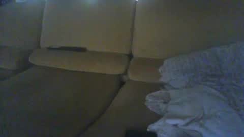 Snapshot of pallavolista73 chatting on 07-04-26, 05:30 pallavolista73 online show from 07-04-26, 05:30